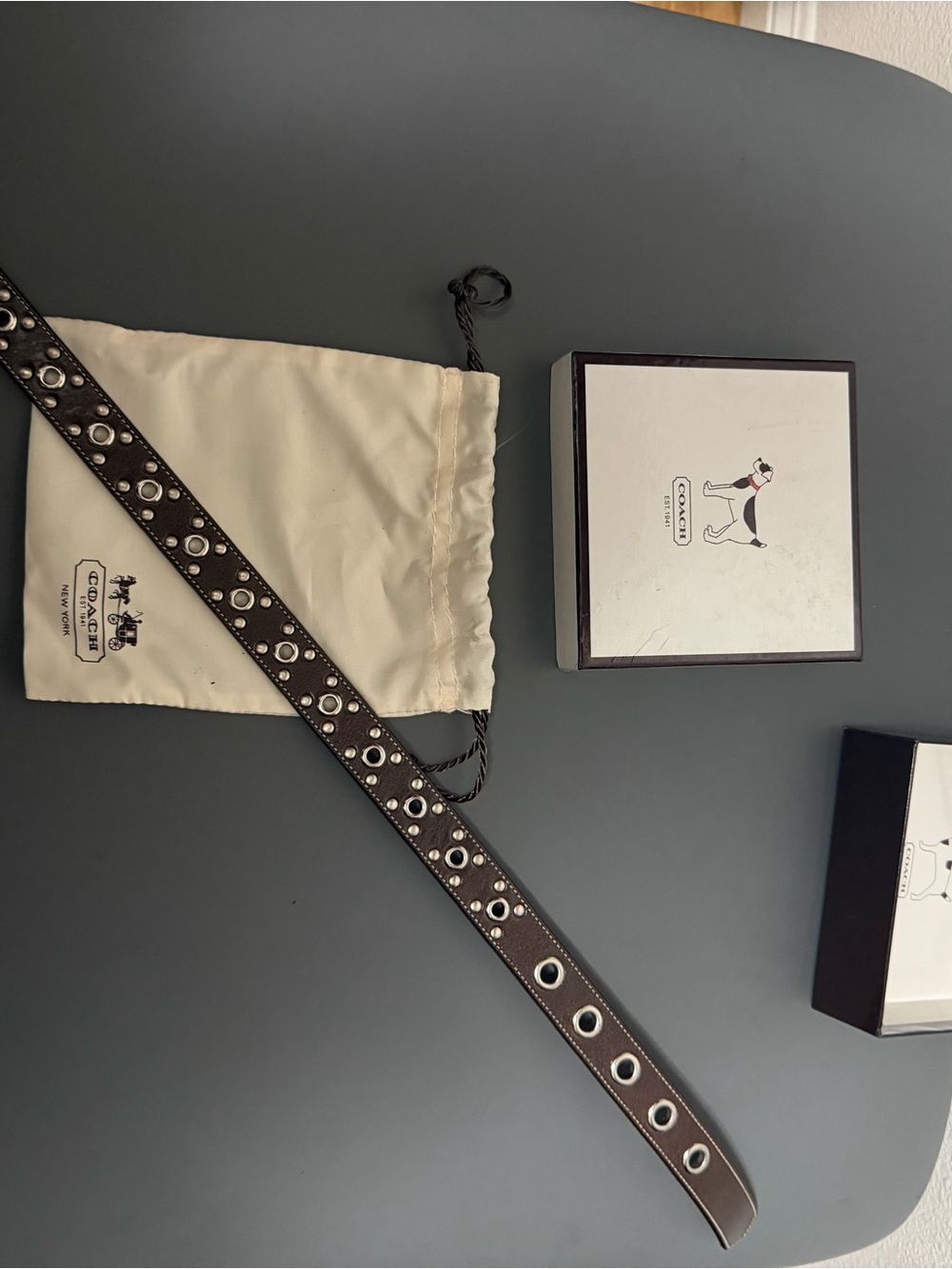 Coach Dog Collar brand new never used